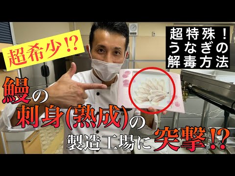 超希少！？鰻の刺身（熟成）を作る工場【龍鰻】の製造所へ突撃！製造過程が超特殊すぎる！