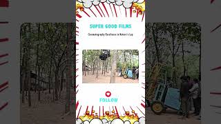 From Nature to Screen: The Making of GodFather Jungle Sequences  #supergoodfilms #ytshorts #shorts