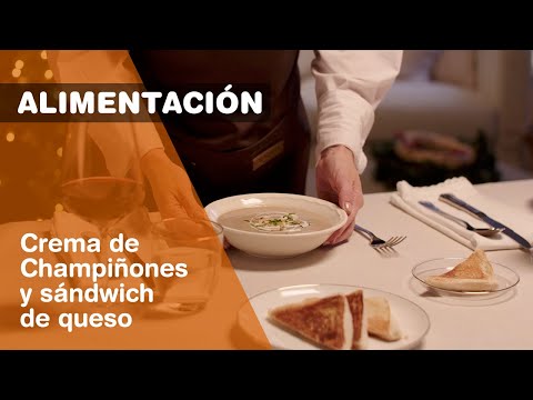 Crema de Champiñones y sándwich de queso brie trufado