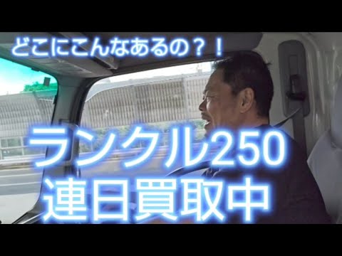 連日のランクル250買取、なかなか手に入らないって話は一体？？#ランクル250#ランドクルーザー250#ランドクルーザー