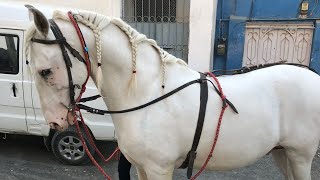 zuljinah aquaab badsha l abbas town l Karachi