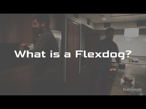 Flexware Innovation What is a Flexdog 2022