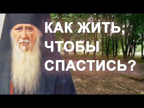 Господь всё устроит, только живи проще! Амвросий Оптинский. Как жить, чтобы спастись?