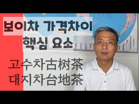 보이차판매_고수차,대지차의 가격차이,차왕수,골동보이차,중국운남지도 설명