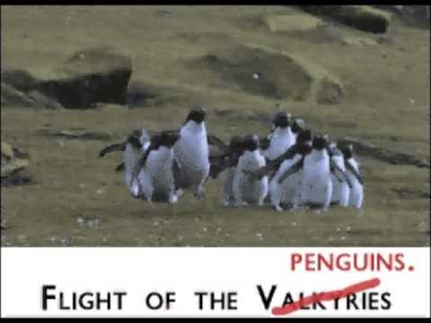 Flight of the Penguins