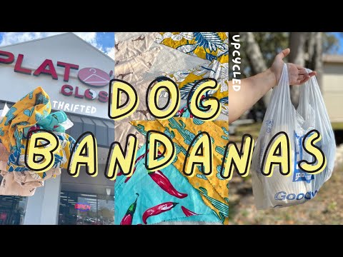 Making Dog Bandanas from Thrift Store Shirts!