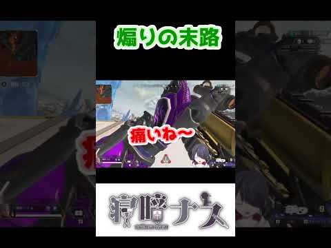 煽りの末路【APEX】