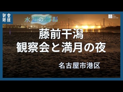 藤前干潟　観察会と満月の夜　受け継がれる生物の楽園