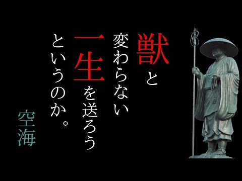 空海はどんな人？今読むべき10冊を12分でまとめ【第二弾】密教 高野山 最澄 お遍路 弘法大師 書評 朗読