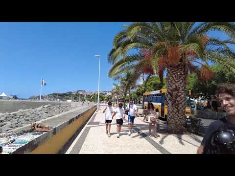 Funchal, Madeira Island walking tour 4K Ultra HD