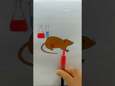 No testing on animals 😢❌ #shorts #jyotiartandcraft #deepmeaning #art #trending #youtubeshorts #rat