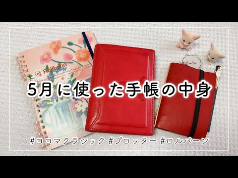 【手帳の中身】5月に毎日使った手帳3冊の振り返り📒【プロッター┊︎ロルバーン┊︎ロロマクラシック┊︎デイリーログ】