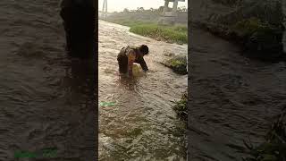 Sumabay sa agos ang napakalaking KARPA😱😱😱 #fishing #amazing #nature #trending #shorts #viralvideo