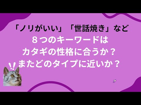 気質と性格～カタギの自分探し～【心理機能・性格タイプ・ユング心理学16の性格】