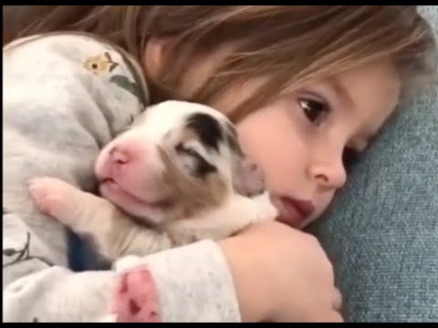 かわいい動物の赤ちゃんの癒し動画集〜Healing video collection of cute baby animals〜