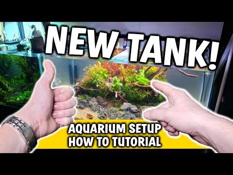 NEW! Island Planted Aquarium Setup Tutorial