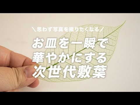 これ１枚でお皿が華やかになる次世代敷葉「透かし木の葉」のご紹介