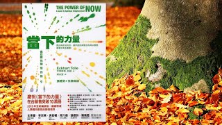 📚 書分享《當下的力量》 -通往靈性開悟的指引  找回每時每刻的自己  做自己的主人-上集