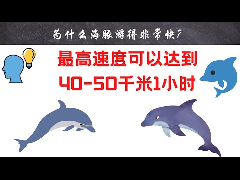 【十万个为什么】为什么海豚游得非常快？｜#短视频 #小知识 #能量灯 #为什么