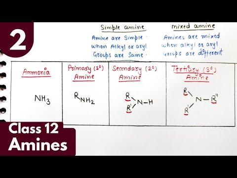 2) Primary, Secondary ,Tertiary 1°, 2°,3° amine| Classification of amine| Amines Class12 Chemistry