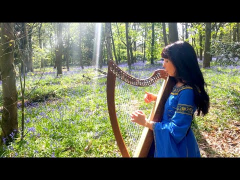 The Queen's Marsh (Morfa'r Frenhines) - Celtic Harp