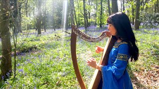 The Queen's Marsh (Morfa'r Frenhines) - Celtic Harp