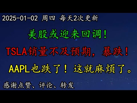 美股 华尔街警告美股或迎来回调！TSLA销量不及预期，暴跌！NVDA走势难以捉摸！AAPL也跌了！这就麻烦了。PLTR如何预期？HOOD呢？还跌吗？美元继续走强！