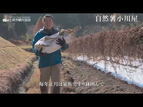 自然薯専門 小川農園 小川屋