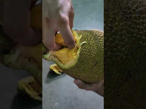 #jackfruit #nutrition #health #healthyfood