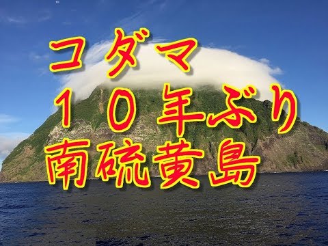 コダマ コダマキバサナギガイ 南硫黄島　固有種　３Ｗ　１０年ぶり上陸