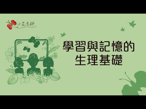 學習與記憶的生理基礎(小花)