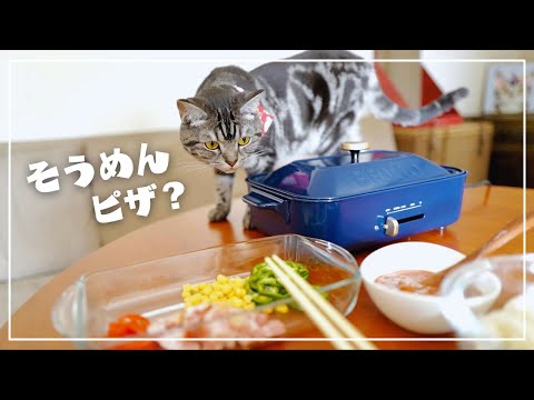 そうめんでピザを作ろうとしたら、愛猫がこうなりましたw【猫とホットプレートごはん】