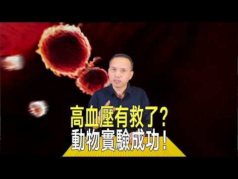 高血壓有救了？美國奈米粒子疏通血管，大型動物試驗成功！