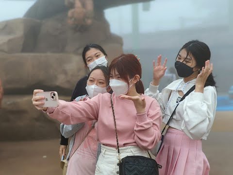 【马来西亚旅游】【旅程记录】穿短裙的他们在云顶浪哈哈❤