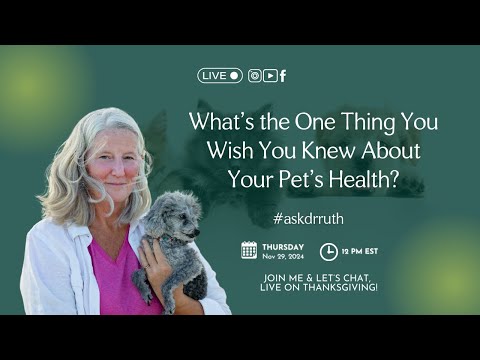 What's the One Thing You Wish You Knew About Your Pet's Health? Live Q&A with Dr. Ruth Roberts