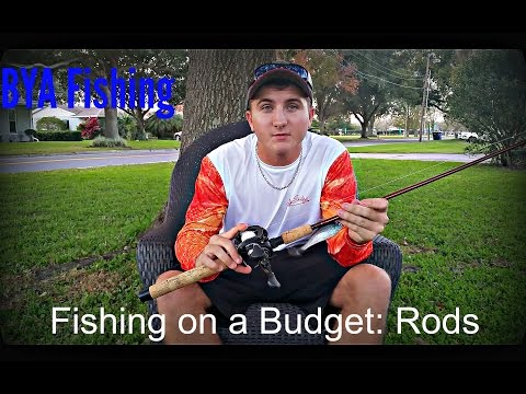 Fishing on a Budget: Rods