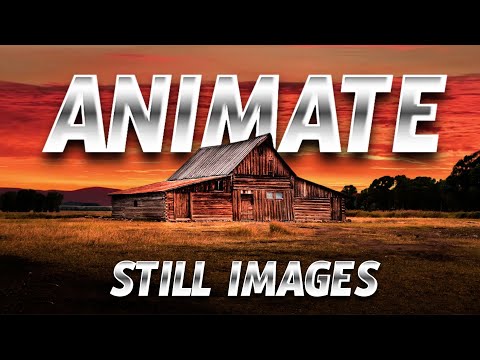 How to Animate a Still Picture Into an Amazing Video: Canva Tutorial