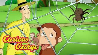 George Learn about Spiders!  🐵 Curious George 🐵 Kids Cartoon 🐵 Kids Movies