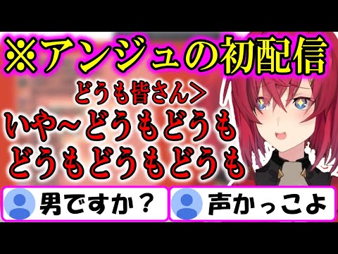 男と間違われるイケボ配信者アンジュカトリーナの初配信【にじさんじ/切り抜き/アンジュカトリーナ/初配信】