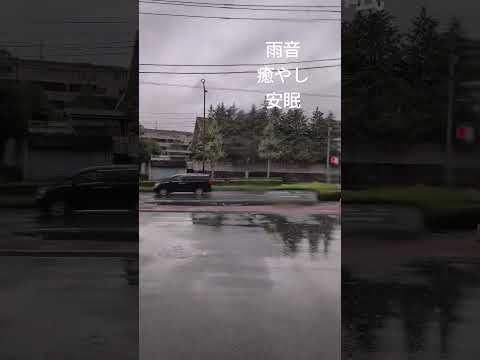 雨の音。 大雨の音、 雨音 雨の音 睡眠、睡眠用BGM、勉強用BGM 、雨の音 BGM作業用、睡眠用、癒し