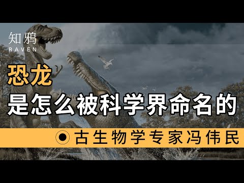 恐龙是怎么被科学界命名的？