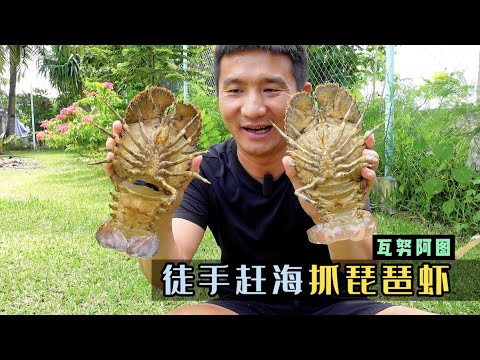 《瓦努阿图》第11集：晚上赶海抓琵琶虾和龙虾，简单到好像是在摆拍 ！#旅行 #环球旅行 #瓦努阿图 #赶海 #龙虾