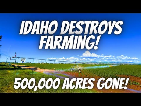 Idaho government destroys farming! Idaho water curtailment