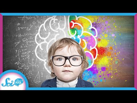 Beautiful Baby Brains! | Compilation