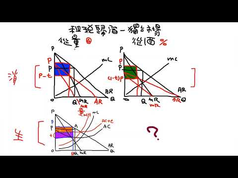 CH13 租稅概論之六 - 獨占市場之租稅歸宿之二