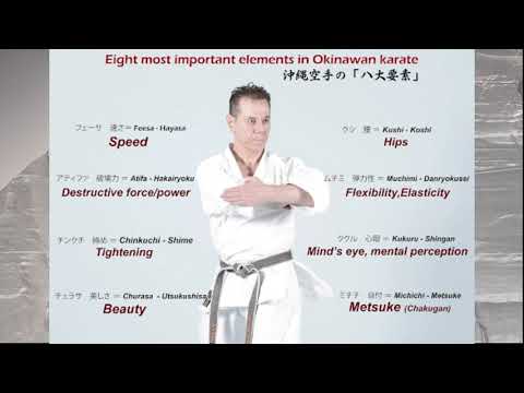 The Essence of Okinawan Karate; The Power of Chinkuchi: