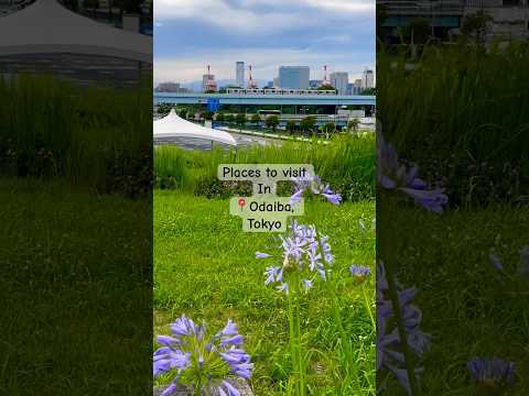 A man-made Island only few minutes away from Tokyo!