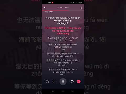 Hải âu phi - Long Mai Tử (海鸥飞 - 龙梅子) Pinyin Karaoke