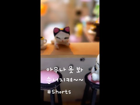 아무나 못본다 냥~#shorts