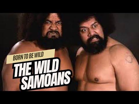 The Wild Samoans Story: Born to Be Wild #thebloodline #prowrestling #prowrestling #wwf #wwe